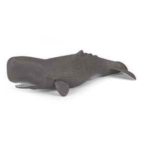 Cachalot Papo en PVC, Collection animaux marins, jouet éducatif idéal pour enfants et collectionneurs