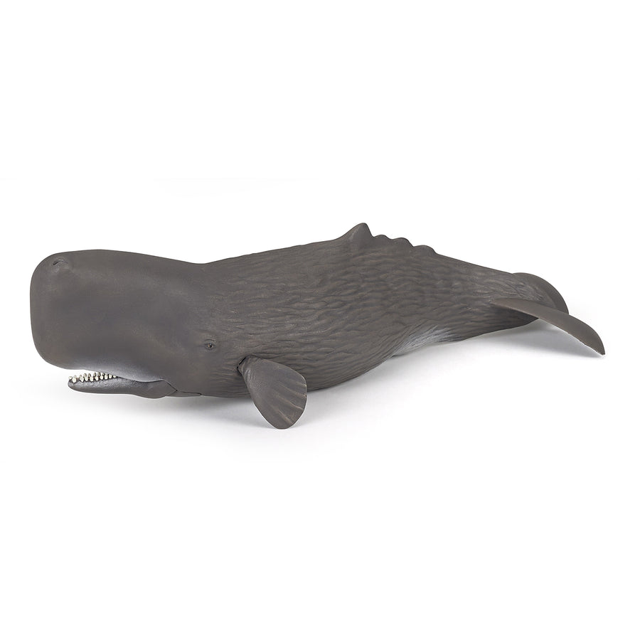 Cachalot Papo en PVC, Collection animaux marins, jouet éducatif idéal pour enfants et collectionneurs