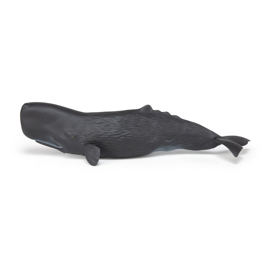 Cachalot Papo en PVC, Collection animaux marins, jouet éducatif idéal pour enfants et collectionneurs