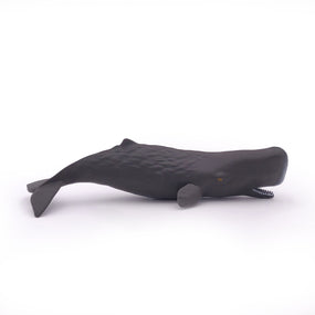 Bébé cachalot Papo en PVC, Collection animaux marins, jouet éducatif idéal pour enfants et collectionneurs