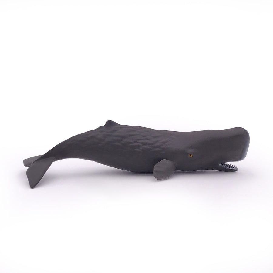 Bébé cachalot Papo en PVC, Collection animaux marins, jouet éducatif idéal pour enfants et collectionneurs