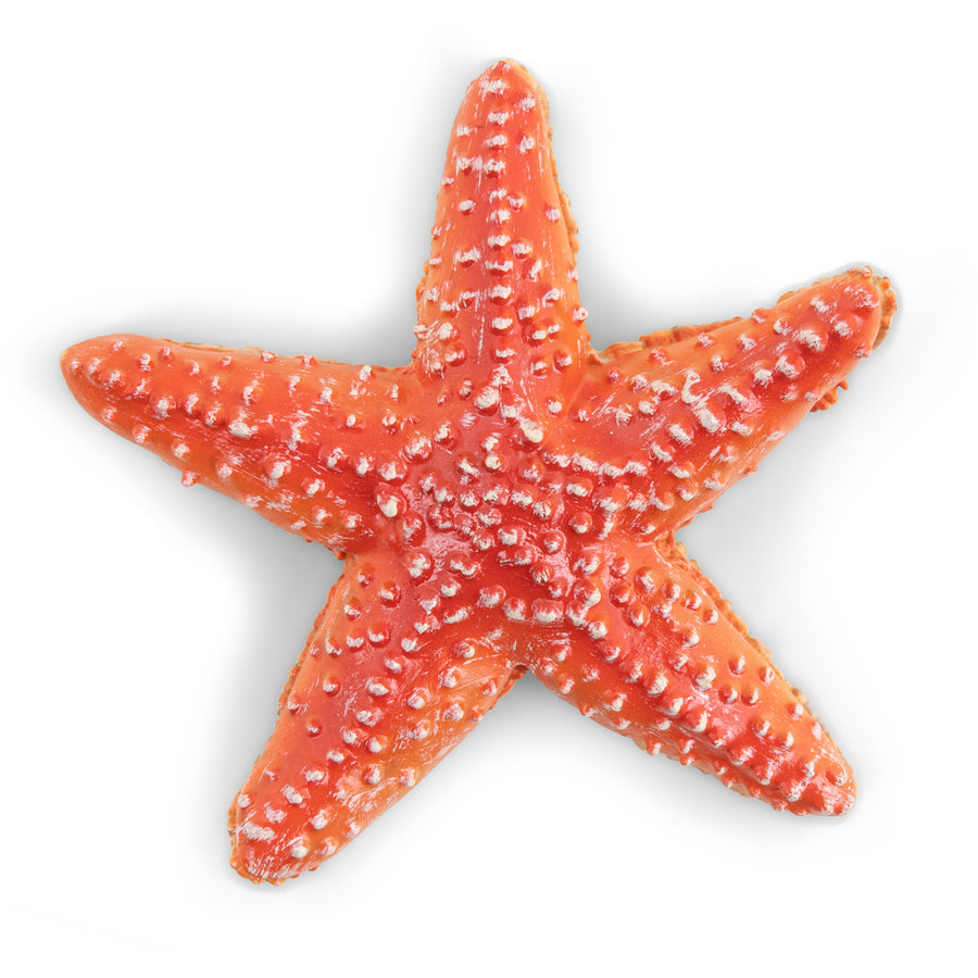 Etoile de mer Papo en PVC, Collection animaux marins, jouet éducatif idéal pour enfants et collectionneurs