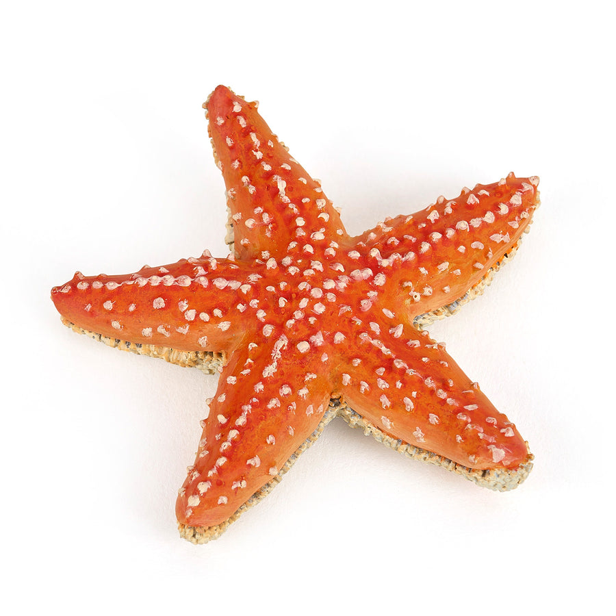 Etoile de mer Papo en PVC, Collection animaux marins, jouet éducatif idéal pour enfants et collectionneurs