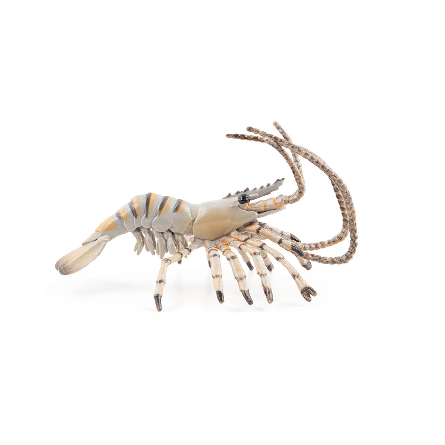 Crevette Papo en PVC, Collection animaux marins, jouet éducatif idéal pour enfants et collectionneurs