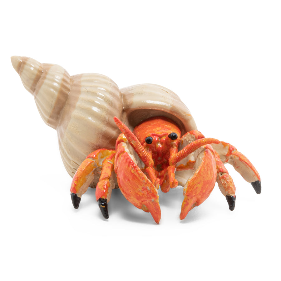 Bernard l'hermite Papo en PVC, Collection animaux marins, jouet éducatif idéal pour enfants et collectionneurs