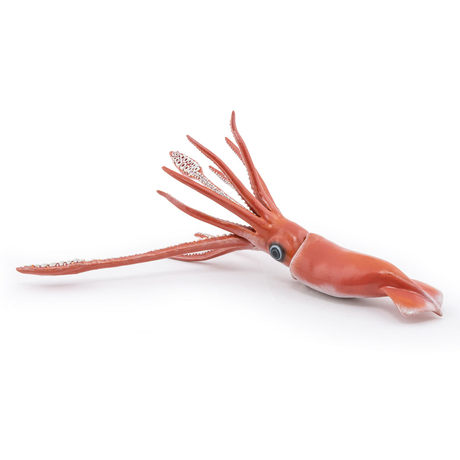 Calmar Géant Papo en PVC, Collection animaux marins, jouet éducatif idéal pour enfants et collectionneurs