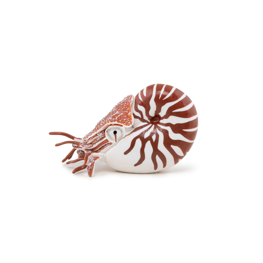 Nautile Papo en PVC, Collection animaux marins, jouet éducatif idéal pour enfants et collectionneurs