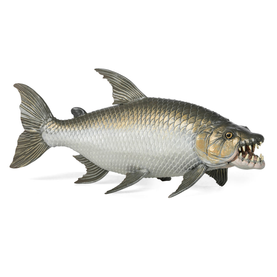 Figurine Poisson tigre goliath