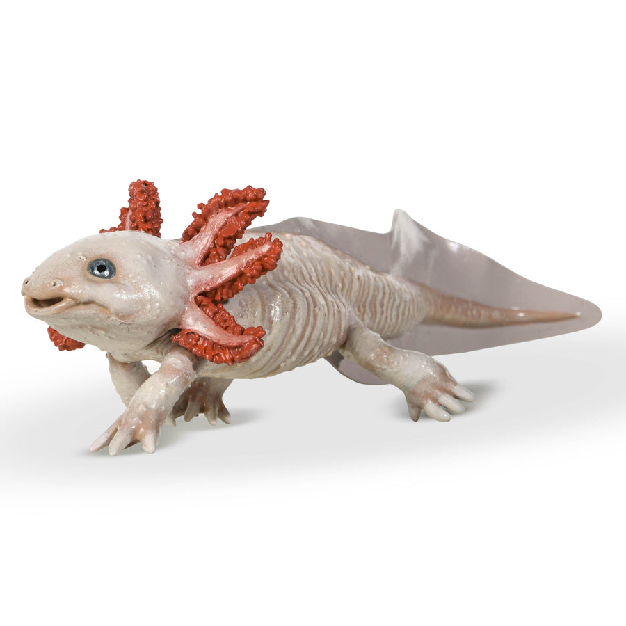 Figurine Axolotl