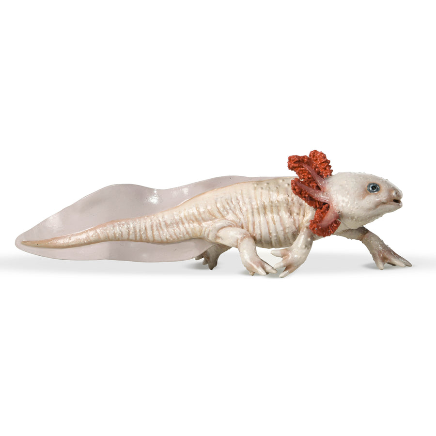 Figurine Axolotl