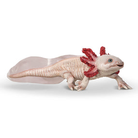 Figurine Axolotl