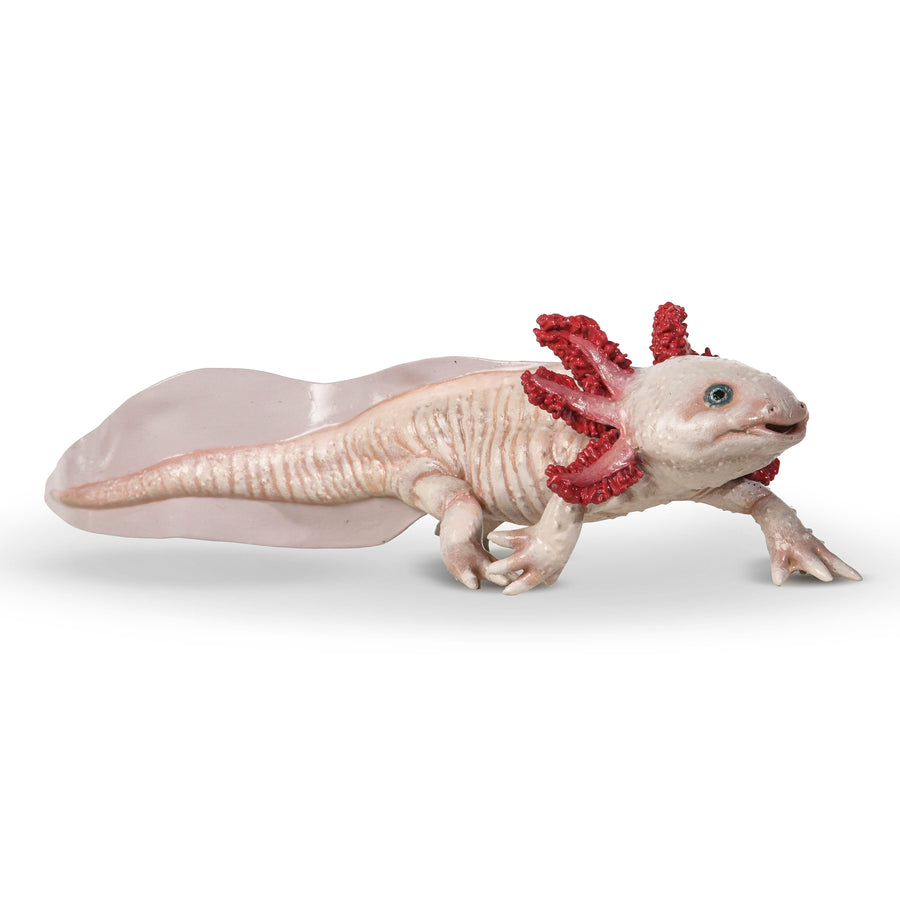 Figurine Axolotl